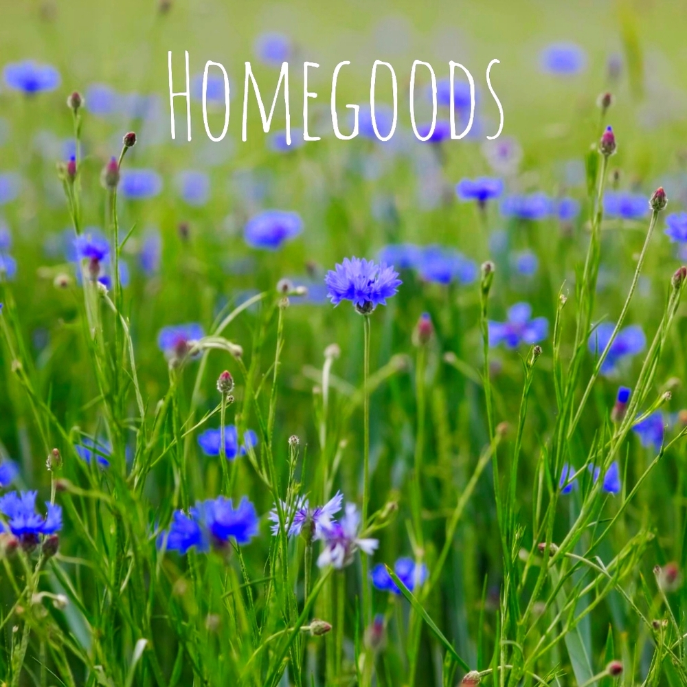 Homegoods [section]